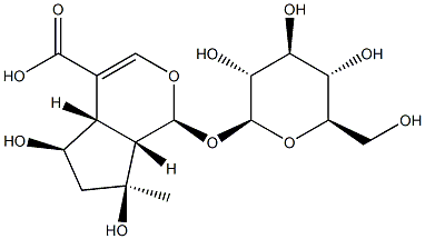 1α-(β-D-Glucopyranosyloxy)-1,4aα,5,6,7,7aα-hexahydro-5α,7α-dihydroxy-7-methylcyclopenta[c]pyran-4-carboxylic acid