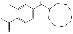 1-[4-(cyclooctylamino)-2-methylphenyl]ethan-1-one Struktur