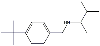 [(4-tert-butylphenyl)methyl](3-methylbutan-2-yl)amine Struktur