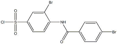 3-bromo-4-[(4-bromobenzene)amido]benzene-1-sulfonyl chloride Struktur
