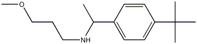[1-(4-tert-butylphenyl)ethyl](3-methoxypropyl)amine Struktur