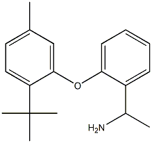 1-[2-(2-tert-butyl-5-methylphenoxy)phenyl]ethan-1-amine Struktur