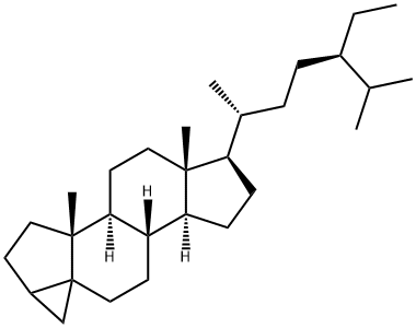 (24R)-24-METHYL-3,5-CYCLOCHOLESTANE AND (24R)-24-ETHYL-3,5-CYCLOCHOLESTANE Struktur