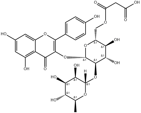 4H-1-Benzopyran-4-one, 3-[[6-O-(2-carboxyacetyl)-2-O-(6-deoxy-α-L-mannopyranosyl)-β-D-glucopyranosyl]oxy]-5,7-dihydroxy-2-(4-hydroxyphenyl)-|6''-丙二酰百蕊草素I