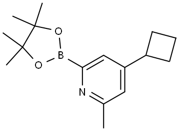  化學(xué)構(gòu)造式