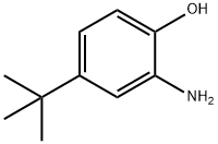 2-Amino-4-tert-butylphenol price.