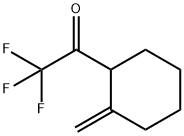 Ethanone, 2,2,2-trifluoro-1-(2-methylenecyclohexyl)- (9CI) Struktur