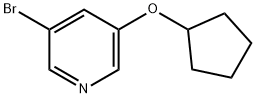 3-溴-5-環(huán)戊氧基吡啶, 422557-08-2, 結(jié)構(gòu)式