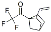 Ethanone, 1-(2-ethenylbicyclo[2.2.1]hept-1-yl)-2,2,2-trifluoro- (9CI) Struktur