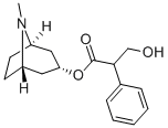 51-55-8 Structure