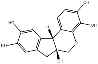 Hematoxylin