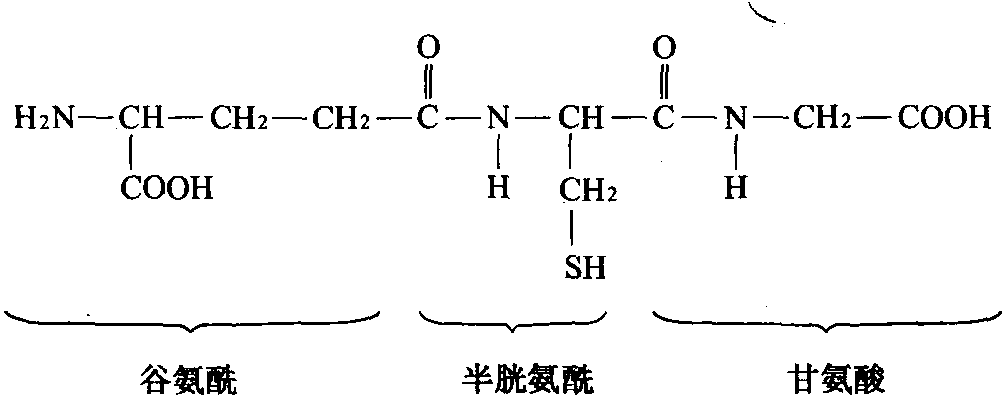 谷胱甘肽(GSH)的化學結構式