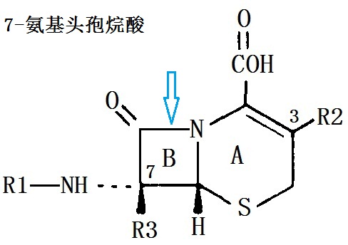 7-氨基頭孢烷酸 化學(xué)結(jié)構(gòu)