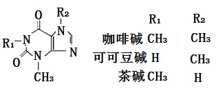 結(jié)構(gòu)式