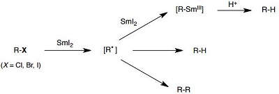 Radicals and anions from organohalides Radicals and anions from organohalides