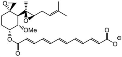 structure of fumagillin structure of fumagillin