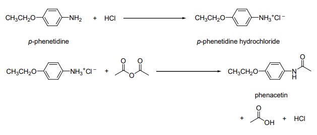Synthesis of Phenacetin