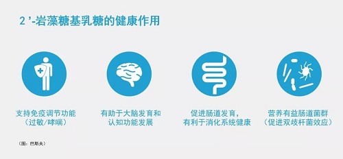 2'-巖藻糖基乳糖的健康作用