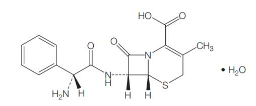 Figure 19.1 Chemical structure of cephalexin..jpg