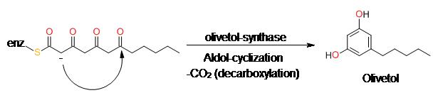 synthesis of Olivetol synthesis of Olivetol