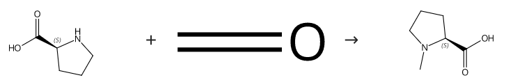 N-Methyl-L-proline synthesis N-Methyl-L-proline synthesis