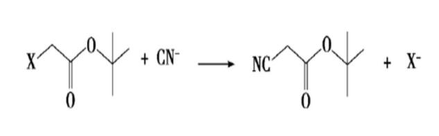 氰乙酸叔丁酯的合成路線(xiàn)