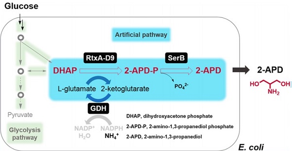 2-Amino-1,3-propanediol 2-Amino-1,3-propanediol