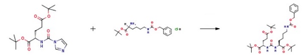 H-LYS(Z)-OTBU HCL H-LYS(Z)-OTBU HCL
