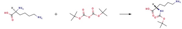 N-alpha-(tert-Butoxycarbonyl)-L-lysine