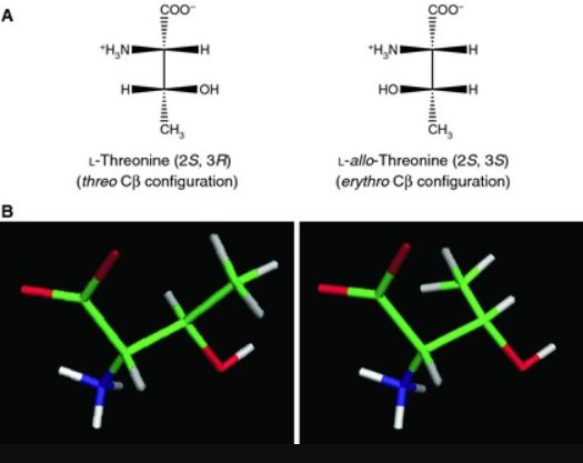 D-Threonine 