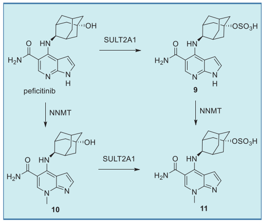 Peficitinib Peficitinib