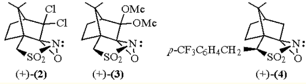 (1R)-(-)-(10-Camphorsulfonyl)oxaziridine (1R)-(-)-(10-Camphorsulfonyl)oxaziridine