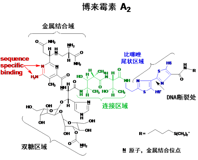 博來霉素化學(xué)結(jié)構(gòu)