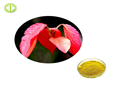 528-48-3 FISETIN
