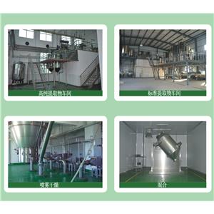 Powdered Bilberry Extract