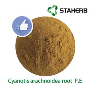 Cyanotis arachnoidea root P.E