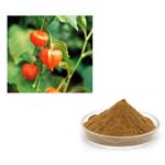 Withania somnifera, ext. pictures