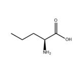 L-Norvaline
