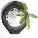 49562-28-9 Fenofibrate
