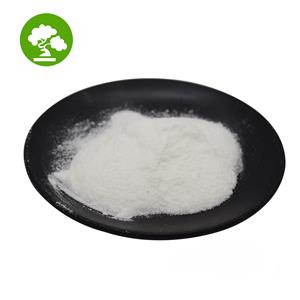 POLY(METHYLSILSESQUIOXANE)