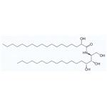 Ceramide 1