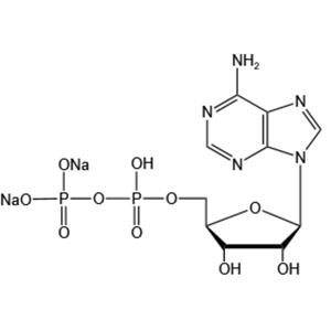 Adenosine 5’-diphosphate disodium salt(ADP-Na2)