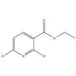 	2,6-Dichloronicotinic acid ethyl ester pictures