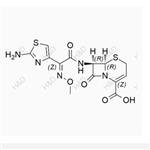 Ceftizoxime pictures