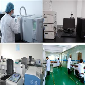 Dimethyl phthalate