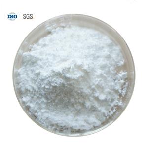 Dorzolomide Hydrochloride