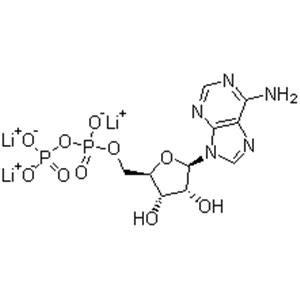Adenosine 5’-diphosphate trilithium salt;ADP-Li3；5'-ADP-Li3