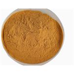 83-88-5 Vitamin B2 Riboflavin