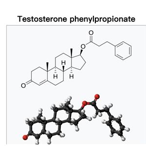testosterone Phenylpropionate；Test phen；TPP;Testolent, Sustanon 100