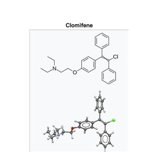 Clomifene citrate ；Clomid ；CLO；Clomiphene)
